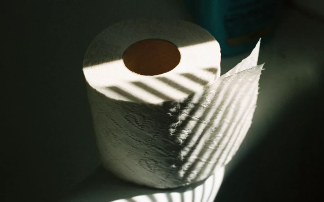 Nachhaltiges Toilettenpapier kaufen und Wälder retten! - Eliah Sahil Blog - Nachhaltiges Toilettenpapier kaufen und Wälder retten!