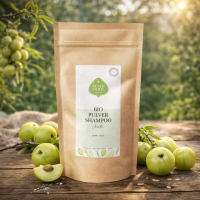 Bio Shampoo Amla Refill 500g